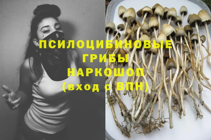 Галлюциногенные грибы Magic Shrooms  mega зеркало  Лермонтов 